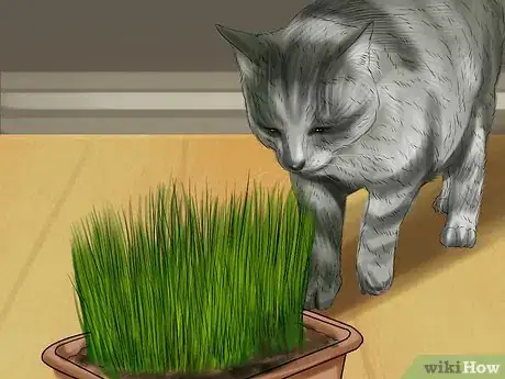 Image titled Give Cat Grass to a Cat Step 14