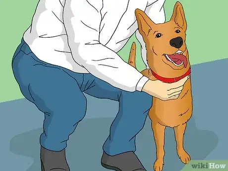 Image titled Train Your Dog to Shake Its Head Step 1