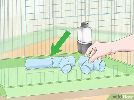 Image titled Train a Hamster to Run Through Tunnels Step 9