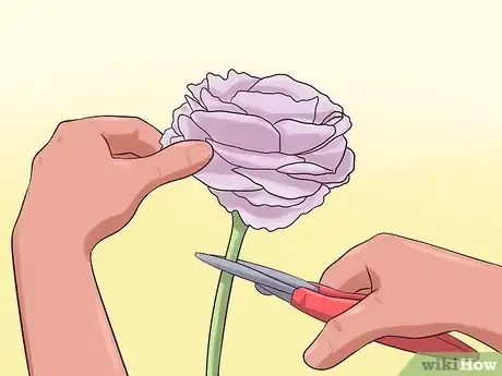 Image titled Plant and Care for a Ranunculus Step 11
