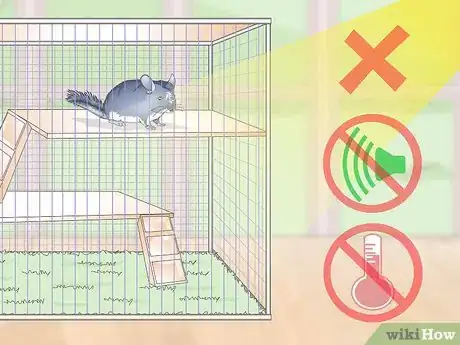 Image titled Prevent Chinchillas from Developing Hairballs Step 1