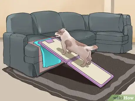 Image titled Choose Furniture Ramps for Dogs Step 5