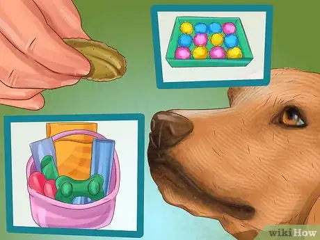 Image titled Buy Christmas Gifts for a Dog Step 7