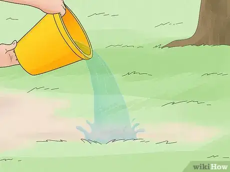 Image titled Plan an Eco‐Friendly Camping Trip Step 5