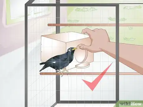 Image titled Avoid Poisoning Your Pet Bird Step 3