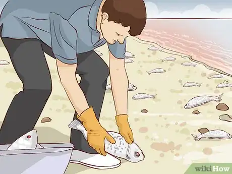 Image titled Prevent Red Tide Step 17