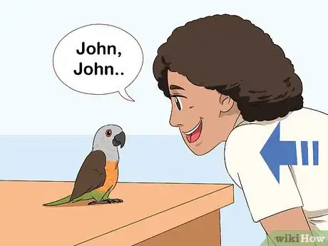 Image titled Handle a Scared Red Bellied Parrot Step 7