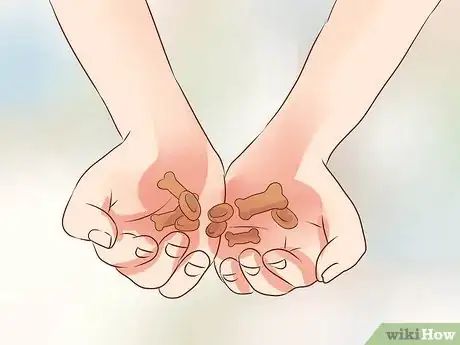 Image titled Train Puggles Step 1