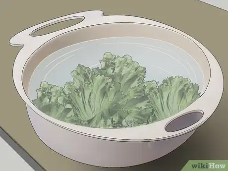 Image titled Clean Kale Step 4