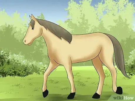 Image titled Catch a Horse Step 16