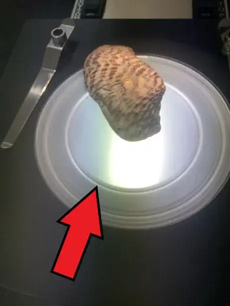 Image titled Shell on stage