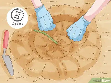 Image titled Harvest Blackberries Step 1