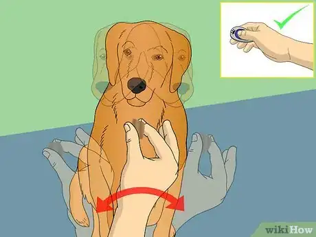 Image titled Train Your Dog to Shake Its Head Step 3