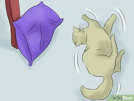 Image titled Help a Cat with Epileptic Seizures Step 1