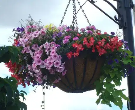 Image titled Hangingbasket2