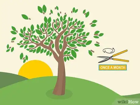 Image titled Prune Brugmansia Step 14