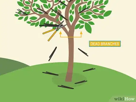 Image titled Prune Brugmansia Step 05