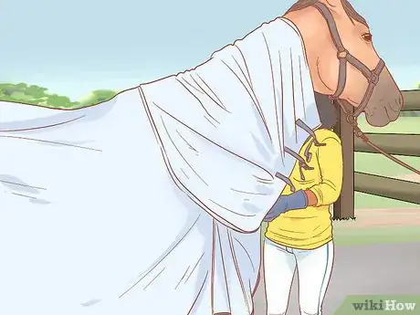 Image titled Groom a Horse for a Show Step 10