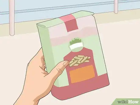 Image titled Teach Your Guinea Pig to Come when Called Step 10