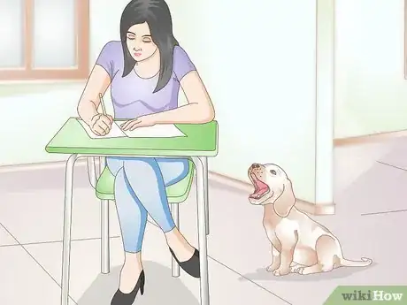 Image titled Care For a Dog with Bad Joints Step 8