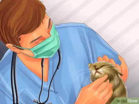 Image titled Diagnose and Treat Periodontitis in Cats Step 10