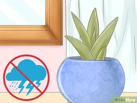 Image titled Grow a Miniature Succulent Garden Step 13