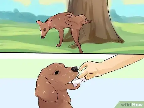 Image titled Care for a Recently Rehomed Dog Step 18