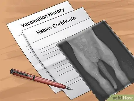 Image titled Prepare Your Dog for the Vet Step 10