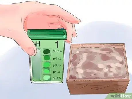 Image titled Care for Heather Plants Step 3