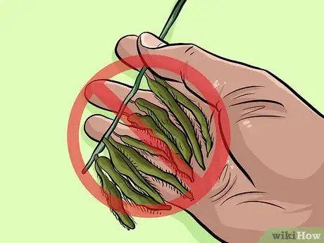 Image titled Eat Kudzu Step 10