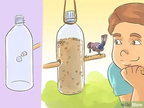 Image titled Improve Biodiversity in Schools Step 1