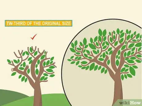 Image titled Prune Brugmansia Step 18