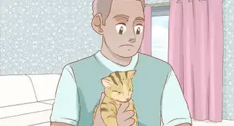 Get a Veterinary Second Opinion for Your Cat