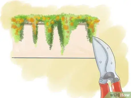 Image titled Prune a Trumpet Vine Step 8