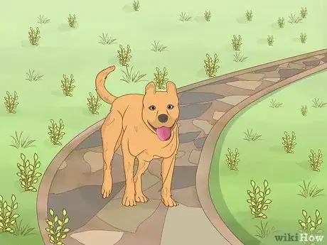 Image titled Garden when You Have a Dog Step 11