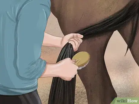 Image titled Brush a Horse Step 12
