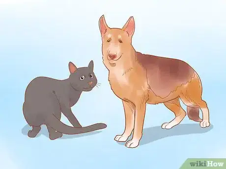 Image titled Keep a Pet When You Have Cats Step 10