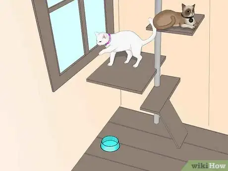 Image titled Avoid Losing Your Cat Step 17