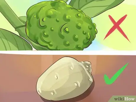 Image titled Eat Noni Fruit Step 1