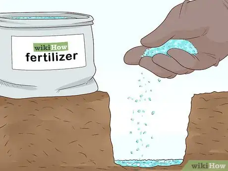 Image titled Plant Grass Plugs Step 6