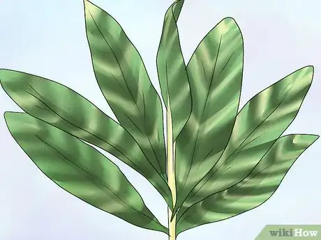 Image titled Create a Tropical Bouquet Step 13