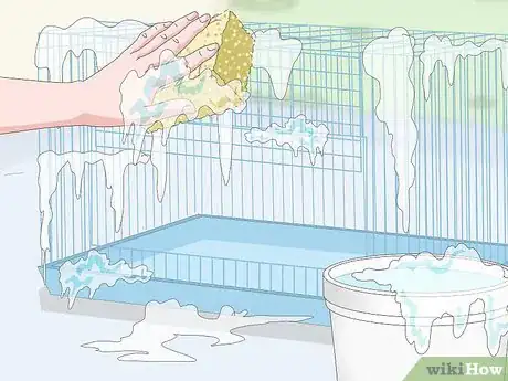 Image titled Keep a Pair of Pet Rats Step 17