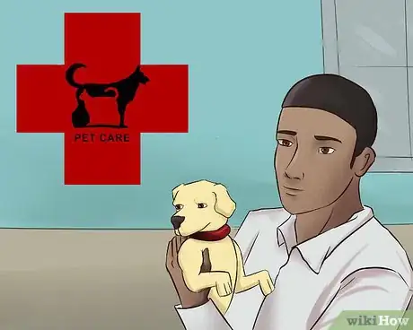 Image titled Save a Dog Whose Owner Is Relocating Step 11