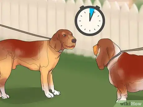 Image titled Introduce Your New Dog to Dogs in the Neighborhood Step 5