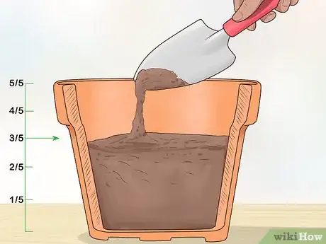 Image titled Plant Date Seeds Step 11