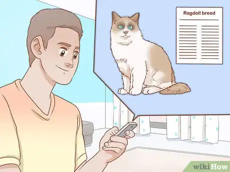 Image titled Find the Right Cat Breed for You Step 7