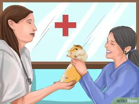 Image titled Choose a Pet Guinea Pig Step 12