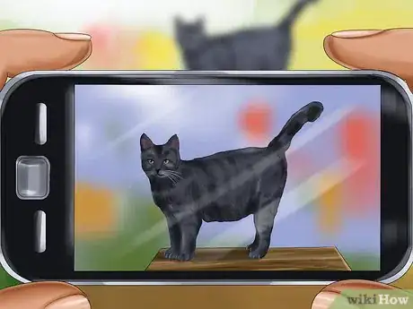 Image titled Take Pictures of Your Black Pet Step 12