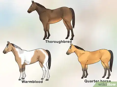 Image titled Handle Equine Wobblers Syndrome Step 1