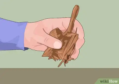 Image titled Grow and Care for Asiatic Lilies Step 6